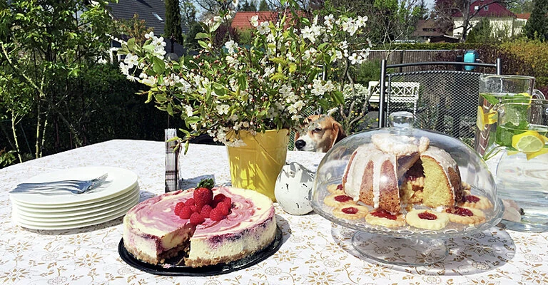 Family & Friends bei Kaffee und Kuchen im Garten